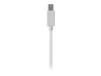 Belkin DisplayPort cable