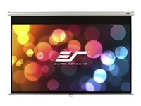 Elite Screens Manual Series M80NWV
