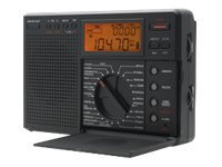 Grundig Traveler II Digital G8