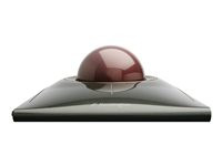 Kensington SlimBlade Trackball