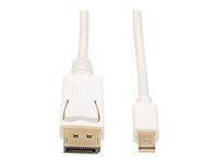 Tripp Lite 10ft Mini DisplayPort to DisplayPort Adapter Converter Cable mDP to DP 4K x 2K @ 30Hz M/M 10'