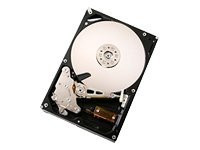 HGST Deskstar 7K1000 HDS721010KLA330
