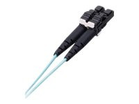 Panduit Opti-Core 10GIG Keyed A