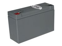 Tripp Lite UPS Replacement Battery Cartridge for select UPS Brands with (1) 6V Battery