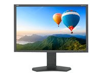 NEC MultiSync PA302W-BK