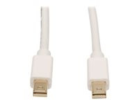 Tripp Lite 10ft Mini DisplayPort to Mini DisplayPort Adapter Converter mDP to mDP 4k x 2k @ 60Hz M/M 10'