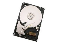 HGST Ultrastar A7K1000 HUA721010KLA330