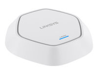 Linksys Business LAPN300
