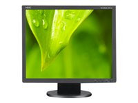 NEC AccuSync AS193i-BK