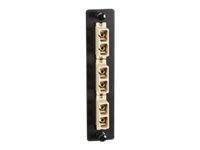 Black Box Standard Adapter Panel Bronze Sleeves