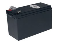 Tripp Lite Replacement Battery Cartridge for select APC UPS Systems 5.5lbs