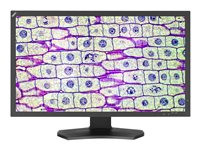 NEC MultiSync MD322C8