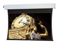 Da-Lite Tensioned Advantage Electrol Square Format