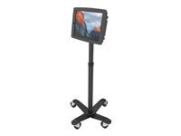 Maclocks Rise Freedom Rolling iPad Kiosk