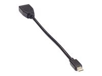 Black Box Video Adapter Dongle