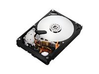 HGST Deskstar 7K2000 HDS722020ALA330