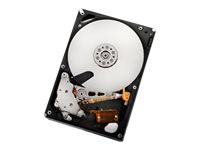 HGST Ultrastar A7K2000 HUA722020ALA330