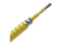 Panduit Opti-Core Fiber Optic Indoor Interlocking Armored Cable
