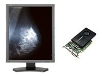 NEC MultiSync MD211G5-N1