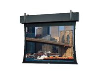 Da-Lite Tensioned Professional Electrol HDTV Format