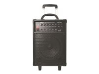 PylePro PWMA230BT