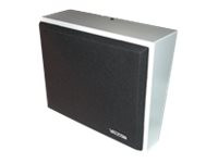 Valcom InformaCast VIP-410A-IC