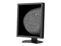 NEC MultiSync MD211G5-A1
