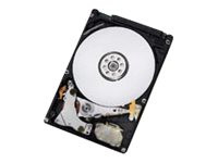 HGST CinemaStar C5K750 HCC547550A9E380