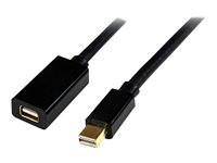 StarTech.com 6 ft Mini DisplayPort 1.2 Video Extension Cable M/F