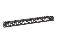 Black Box GigaTrue CAT6A Staggered Blank Patch Panel