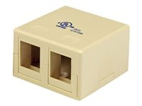 StarTech.com Dual Outlet Universal Wallbox