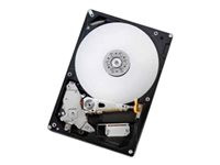 HGST IDK Deskstar NAS H3IKNAS40003272SN