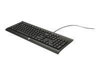 HP K1500