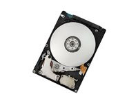 HGST Travelstar Z5K320 HTS543216A7A385