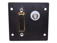 C2G Wiremold Audio/Video Interface Plates (AVIP) DVI F/F Barrel with 3.5mm Stereo with Solder Tabs