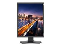 NEC MultiSync P212