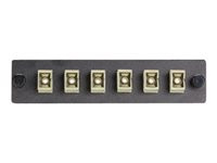 Black Box Connect Standard Adapter Panel Bronze Sleeves