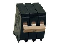 Tripp Lite 208V 20A Circuit Breaker for Rack Distribution Cabinet Applications