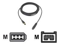 SIIG FireWire 800 9-6 Cable