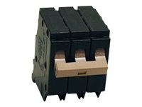 Tripp Lite 3-Phase 208V 60A Circuit Breaker for Rack Distribution Cabinet Applications