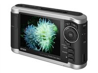 Epson P-3000