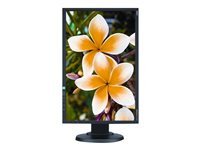 NEC MultiSync E233WM