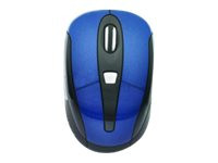 Gear Head Optical Wireless Nano Mouse MP2650BLU