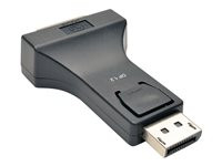Tripp Lite DisplayPort to DVI Adapter Converter Compact DP to DVI M/F DPort 1.2