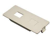 C2G Wiremold 5500 Dual RJ11/RJ45 Connector Faceplate Fitting for Wiremold 4000