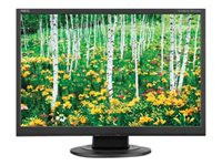 NEC AccuSync AS221WM