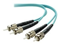 Belkin 10 Gig Aqua