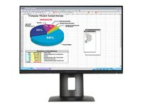 HP Z24n