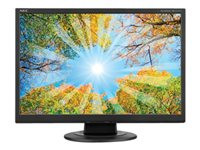 NEC AccuSync AS191WM