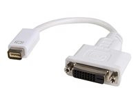 StarTech.com Mini DVI to DVI Video Cable Adapter for Macbooks and iMacs